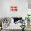 Flag of Denmark-null-Art Print displayed on a wall