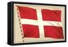 Flag of Denmark-null-Framed Stretched Canvas