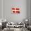 Flag of Denmark-null-Stretched Canvas displayed on a wall