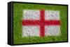 Flag of England on Grass-raphtong-Framed Stretched Canvas