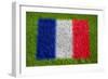 Flag of France on Grass-raphtong-Framed Art Print