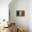 Flag of France on Grass-raphtong-Mounted Art Print displayed on a wall