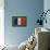 Flag of France on Grass-raphtong-Framed Stretched Canvas displayed on a wall