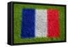 Flag of France on Grass-raphtong-Framed Stretched Canvas