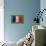 Flag of France on Grass-raphtong-Stretched Canvas displayed on a wall