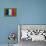 Flag of France on Grass-raphtong-Stretched Canvas displayed on a wall