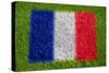 Flag of France on Grass-raphtong-Stretched Canvas