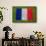 Flag of France on Grass-raphtong-Framed Stretched Canvas displayed on a wall