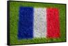 Flag of France on Grass-raphtong-Framed Stretched Canvas