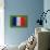 Flag of France on Grass-raphtong-Art Print displayed on a wall