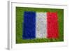 Flag of France on Grass-raphtong-Framed Art Print