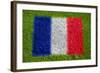 Flag of France on Grass-raphtong-Framed Art Print