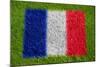 Flag of France on Grass-raphtong-Mounted Art Print