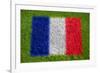 Flag of France on Grass-raphtong-Framed Art Print