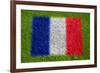 Flag of France on Grass-raphtong-Framed Art Print