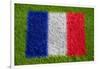 Flag of France on Grass-raphtong-Framed Art Print