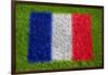 Flag of France on Grass-raphtong-Framed Art Print