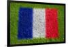 Flag of France on Grass-raphtong-Framed Art Print