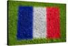 Flag of France on Grass-raphtong-Stretched Canvas