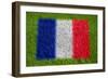 Flag of France on Grass-raphtong-Framed Premium Giclee Print