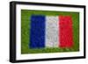 Flag of France on Grass-raphtong-Framed Premium Giclee Print