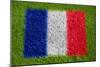 Flag of France on Grass-raphtong-Mounted Premium Giclee Print