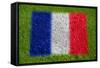 Flag of France on Grass-raphtong-Framed Stretched Canvas