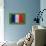 Flag of France on Grass-raphtong-Stretched Canvas displayed on a wall