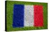 Flag of France on Grass-raphtong-Stretched Canvas