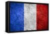 Flag Of France-Miro Novak-Framed Stretched Canvas