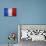 Flag Of France-Miro Novak-Stretched Canvas displayed on a wall