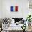 Flag Of France-Miro Novak-Art Print displayed on a wall