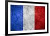 Flag Of France-Miro Novak-Framed Art Print