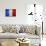 Flag Of France-Miro Novak-Mounted Art Print displayed on a wall