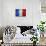 Flag Of France-Miro Novak-Mounted Art Print displayed on a wall