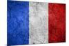 Flag Of France-Miro Novak-Mounted Art Print