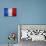 Flag Of France-Miro Novak-Art Print displayed on a wall