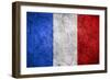 Flag Of France-Miro Novak-Framed Art Print