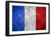 Flag Of France-Miro Novak-Framed Art Print