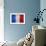 Flag Of France-Miro Novak-Framed Art Print displayed on a wall