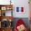 Flag Of France-Miro Novak-Framed Art Print displayed on a wall