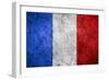 Flag Of France-Miro Novak-Framed Art Print