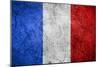 Flag Of France-Miro Novak-Mounted Art Print