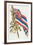 Flag of Hawaii-null-Framed Art Print
