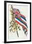 Flag of Hawaii-null-Framed Art Print