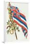 Flag of Hawaii-null-Framed Art Print