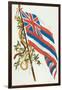 Flag of Hawaii-null-Framed Art Print