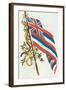 Flag of Hawaii-null-Framed Art Print