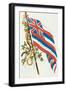 Flag of Hawaii-null-Framed Art Print