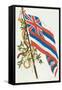 Flag of Hawaii-null-Framed Stretched Canvas